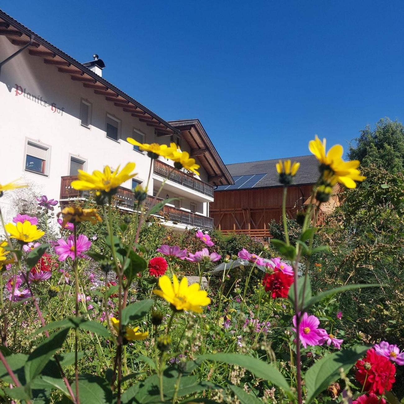 Planitzhof Villa Кастелрото Екстериор снимка